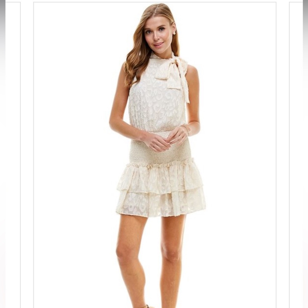 TCEC RUFFLE IVORY COLOR SMOCKED TIE NECK DRESS